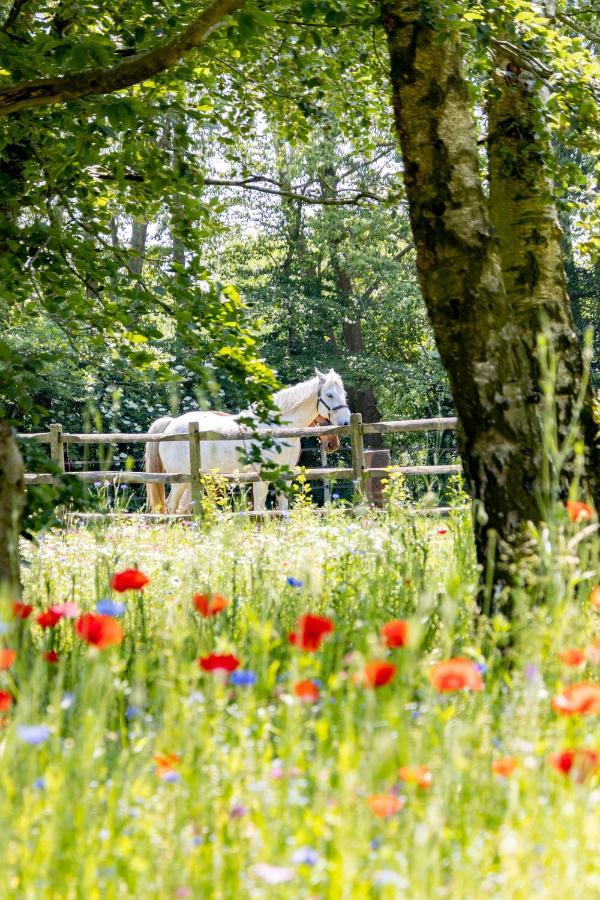 Equilodge 'T Blommeke - Reconnect With Nature بروج المظهر الخارجي الصورة